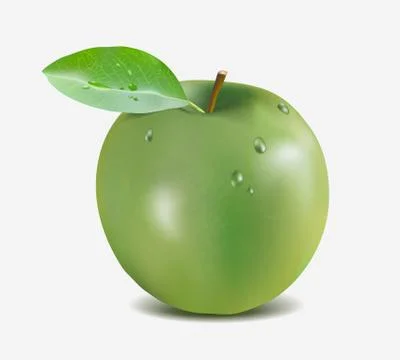 Green apple with water drops - Gradient Mesh vector illustration Stock Illustration