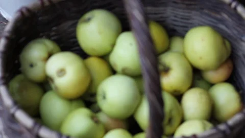Green apples in a basket Stock Footage 95554370