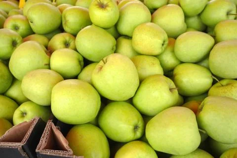 Green apples in a box Stock Photos