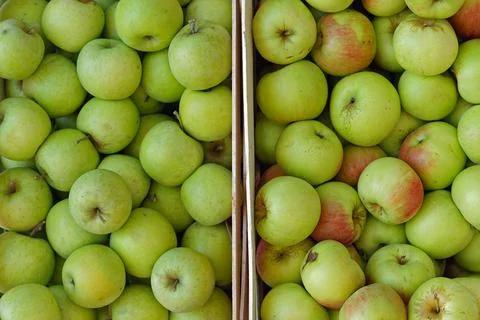 Green apples crates Stock Photos