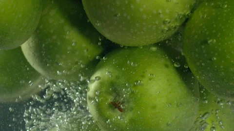 Green apples fall down in water against black background, super slow motion Stock Footage 97440089