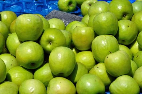 Green apples fruit background Stock Photos
