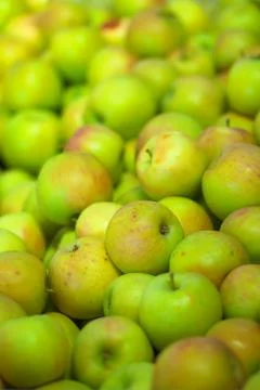 Green apples Stock Photos