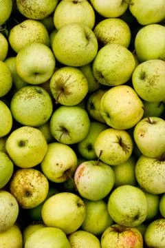 Green apples Stock Photos