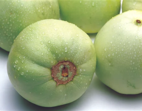 Green Apples Stock Photos