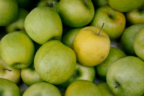Green Apples Stock Photos