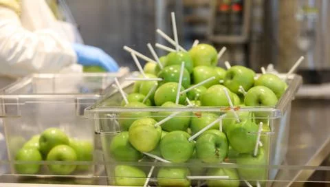 Green Apples Stock Photos