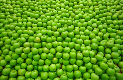 Green apples Foto stock