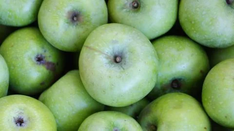 Green apples. Stock Photos