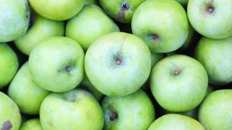 Green apples. Stock Photos