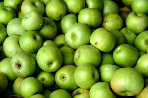 Green apples Fotos Stock