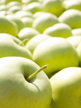 Green apples. Stock Photos