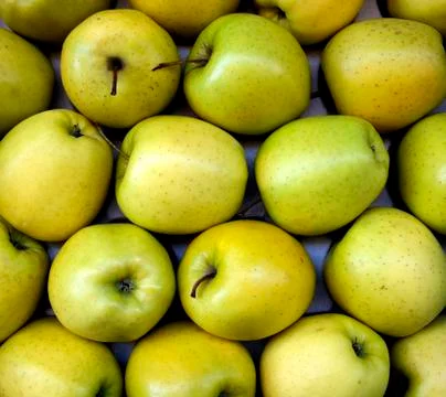 Green Apples Stock Photos