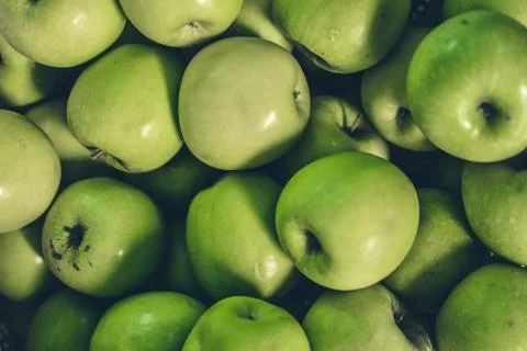 Green Apples Stock Photos