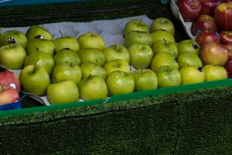 Green apples Stock Photos