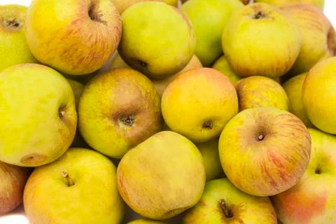 Green apples 스톡 사진