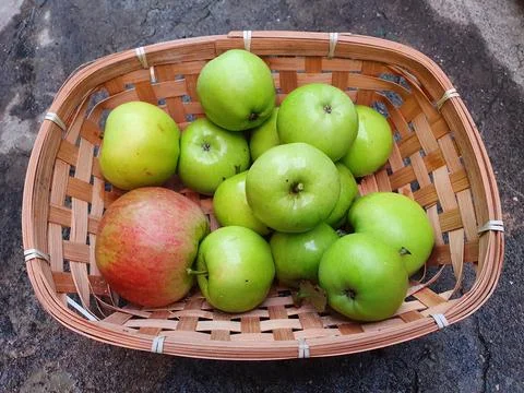 Green apples Stock Photos