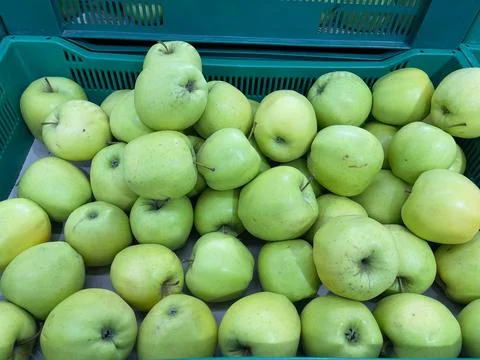 Green apples in a plastic box on the counter of a supermarket. Stock Photos