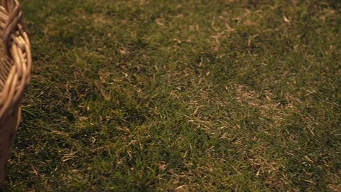 Green apples in wire basket Stock Footage 74281604