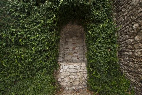 Green Arch Background 写真素材