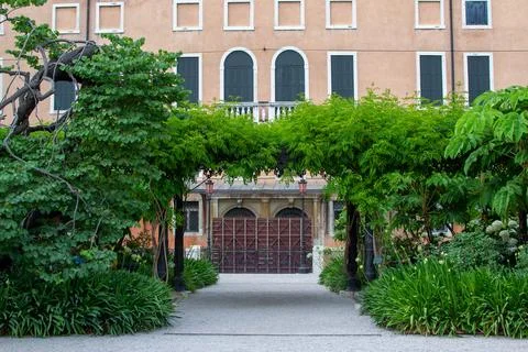 A green arch made of trees in front of the entrance to the house in Venice Stock Photos