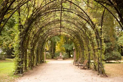 Green Arch Foto stock