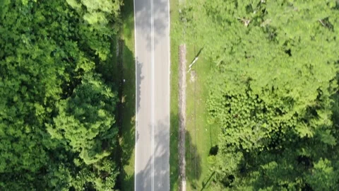 Green Area with road in the middle Video stock 153641676