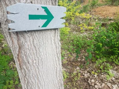 Green arrow or pointer on sign on tree trunk Stock Photos