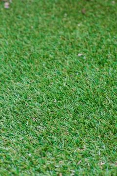 Green Artificial Grass Area Stock Photos