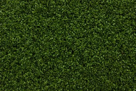 Green artificial grass background Stock Photos