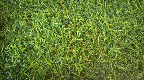 Green artificial grass for background Stock Photos
