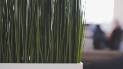 Green artificial grass in the office Stock Footage 99600096
