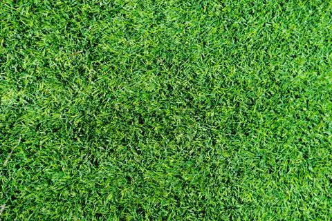 Green artificial grass . Stock Photos