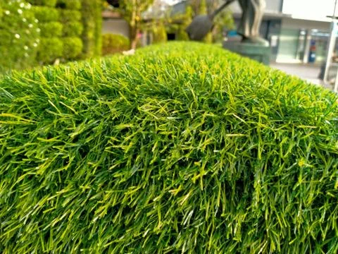 Green artificial grass texture background Stock Photos