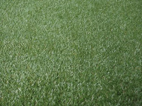 Green artificial grass texture background Stock Photos