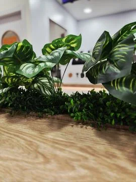Green artificial plant Stock Photos