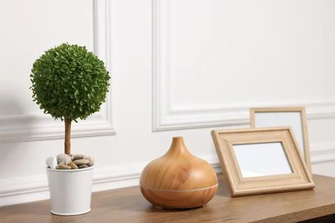 Green artificial plant in pot, frames and air humidifier on wooden table ne.. Stock Photos