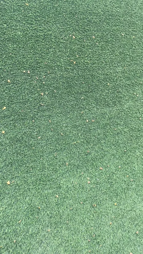 Green Artificial turf Stock Footage 316157701