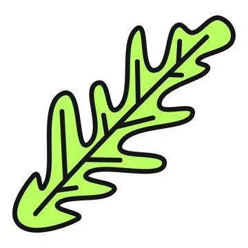Green arugula rocket salad leaf outline icon Stock Illustration