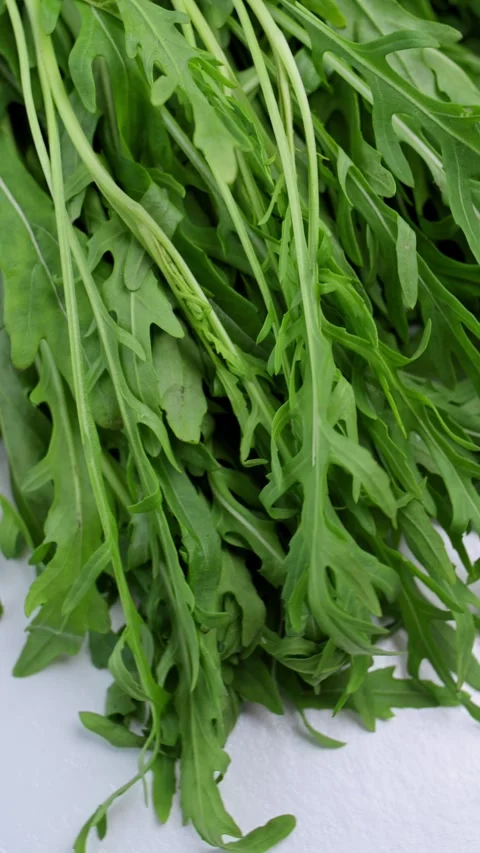 Green arugula rotates on white podium, close-up view from above. Organic arugula Stock Footage 340323582