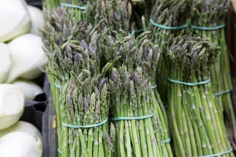 Green Asparagus Background Foto stock