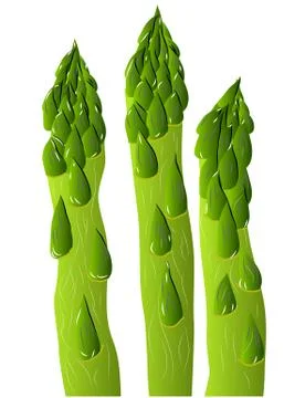 Green asparagus Stock Illustration