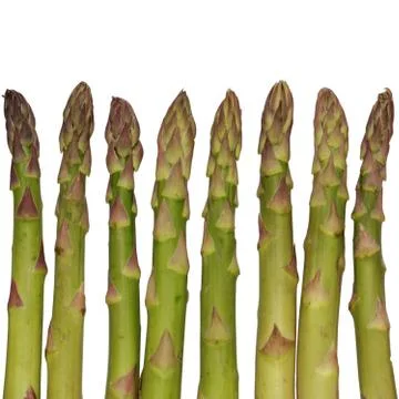 Green asparagus isolated on white Stock Photos