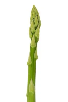 Green asparagus Foto stock