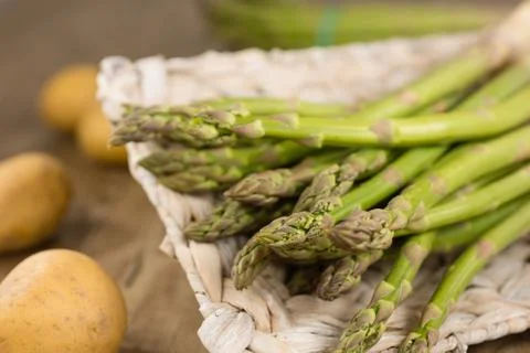 Green asparagus Stock Photos