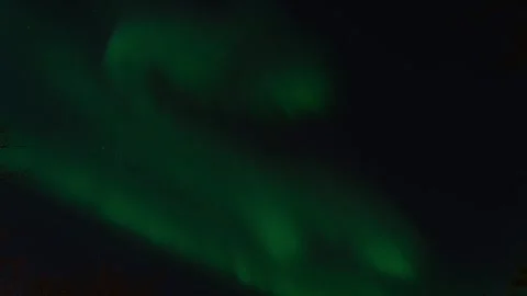 Green Aurora Borealis Dancing in Night Sky with Tree Silhouettes. Stock Footage 327416516