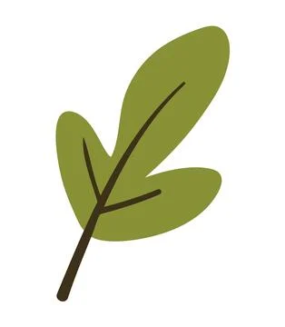 Green autumn leaf flat style isolated on white Stock Illustration