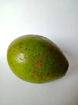 Green Avocado fruit Stock Photos
