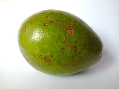 Green Avocado fruit Stock Photos