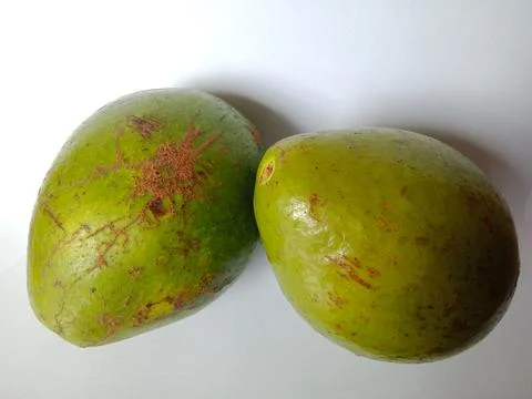 Green Avocado fruit Stock Photos